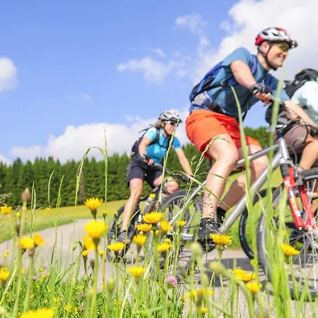 Chalet Kaprun * Kaprun